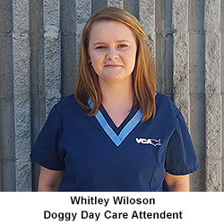 Whitley Wiloson